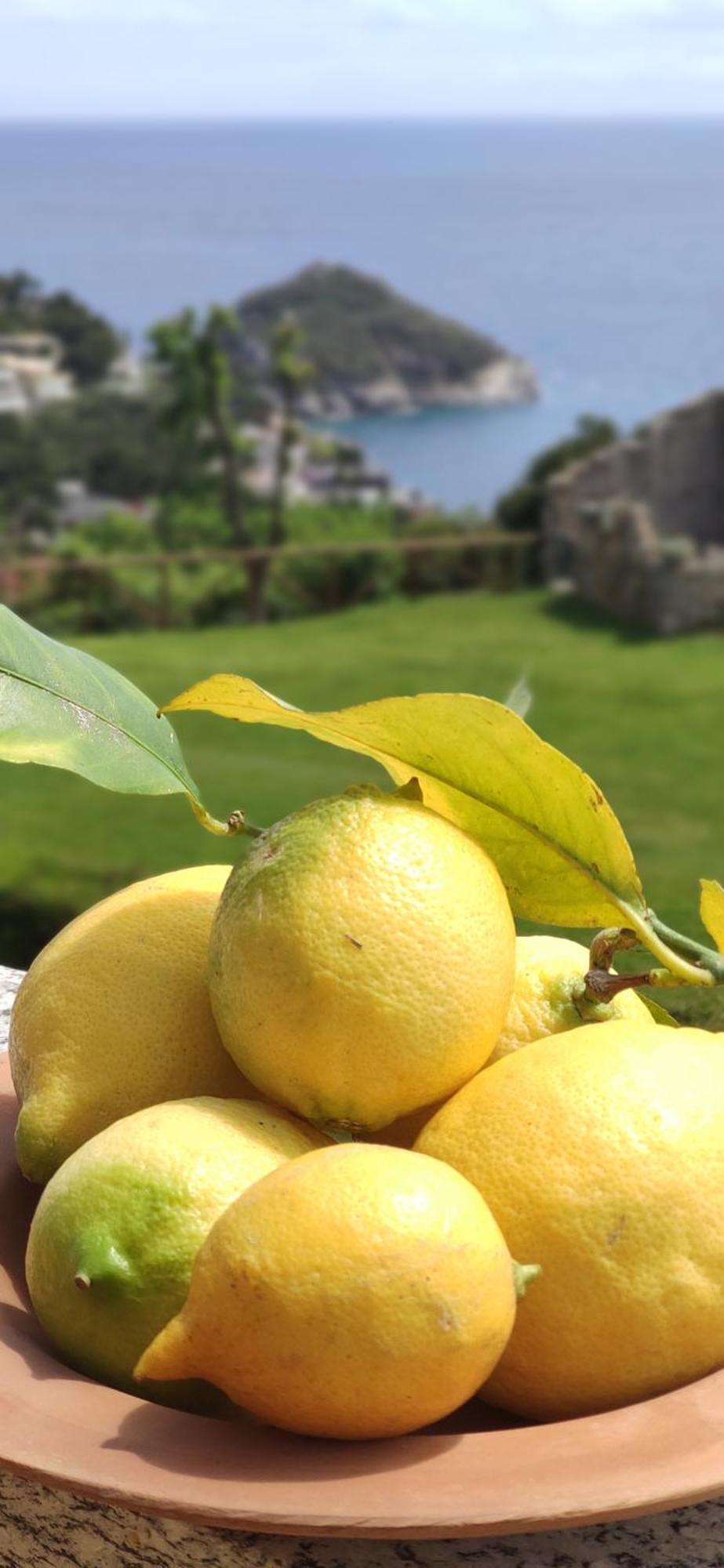 Il Giardino Sull'Isola - Appartamento - Bergeggi Exteriör bild