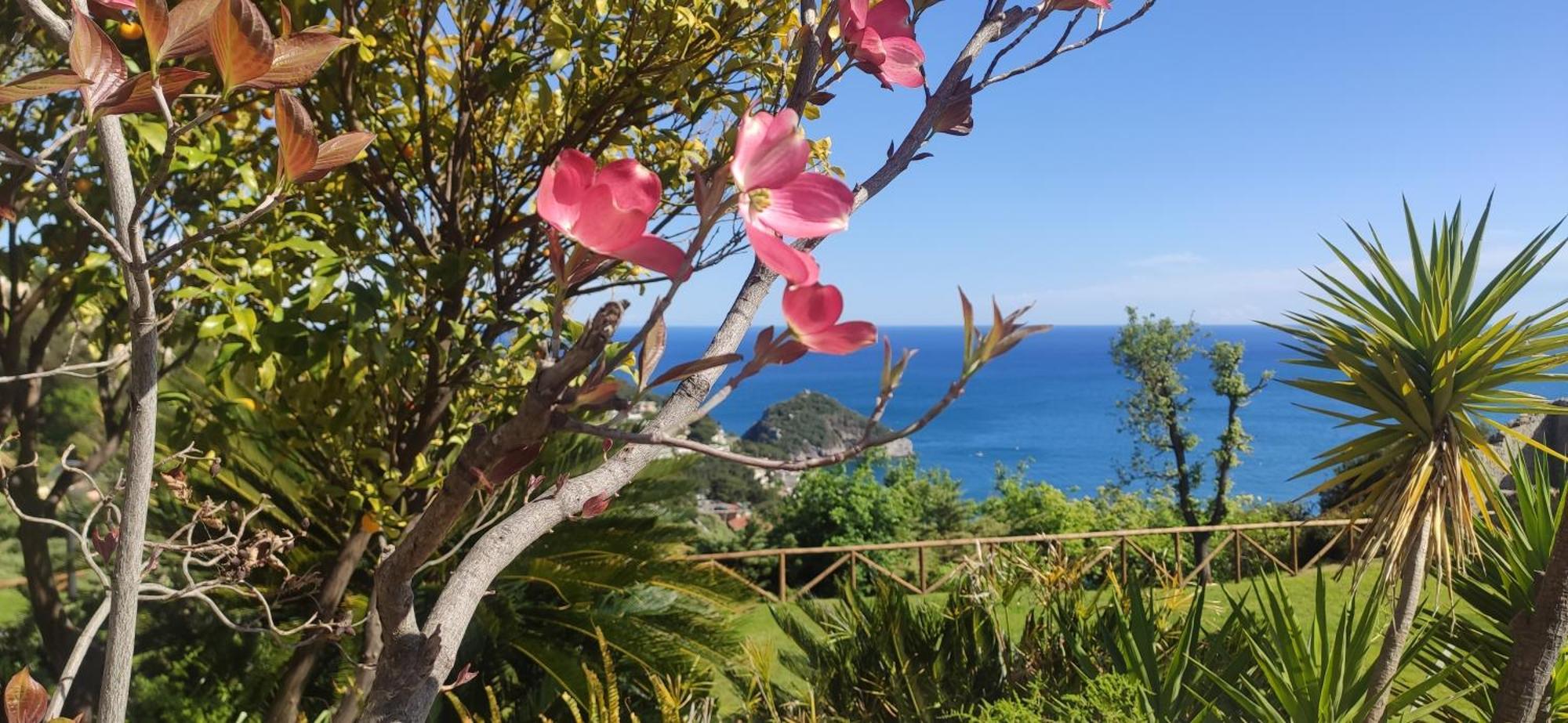 Il Giardino Sull'Isola - Appartamento - Bergeggi Exteriör bild